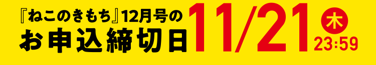 「ねこのきもち」12月号のお申込締切日11/21（木）23:59