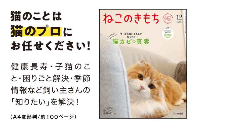 猫のことは猫のプロにお任せください！[A4判／約100ページ]