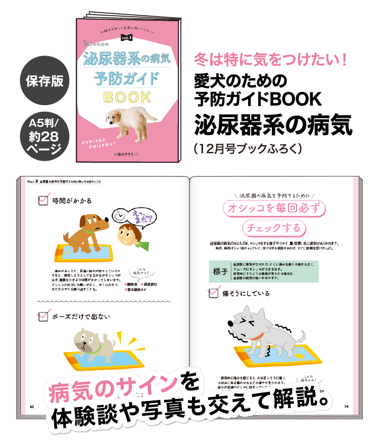 冬は特に気をつけたい！≪愛犬のための予防ガイドBOOK　泌尿器系の病気≫