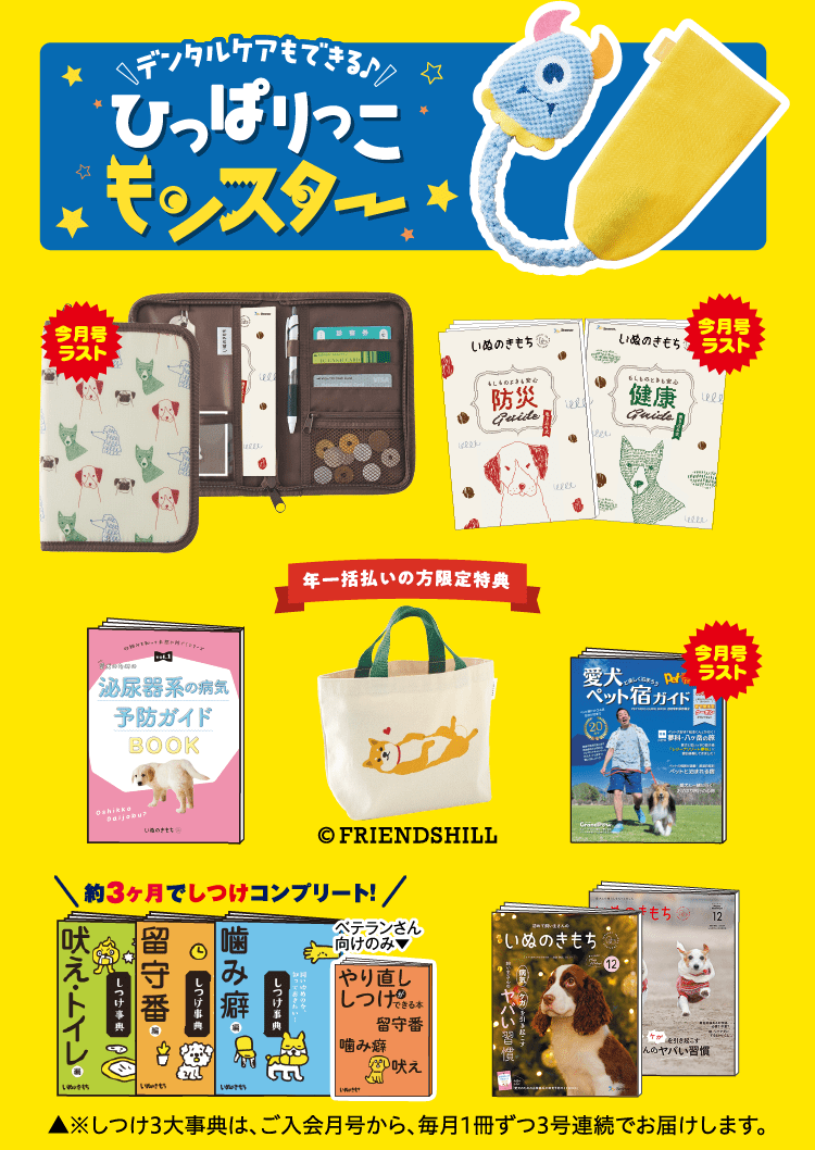 超豪華11点セット　※初心者さん向けは10点セットとなります。