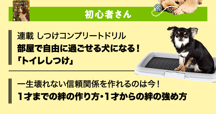 いぬのきもち　初心者さん