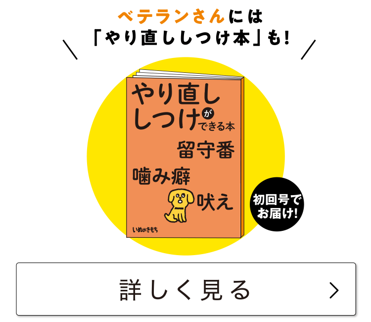 ベテランさん≪やり直ししつけができる本≫