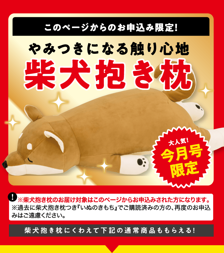 このページからのお申し込み限定！ ≪柴犬抱き枕≫プレゼント！