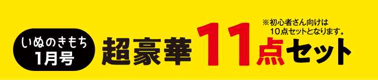 いぬのきもち1月号　超豪華11点セット　※初心者さん向けは10点セットとなります。