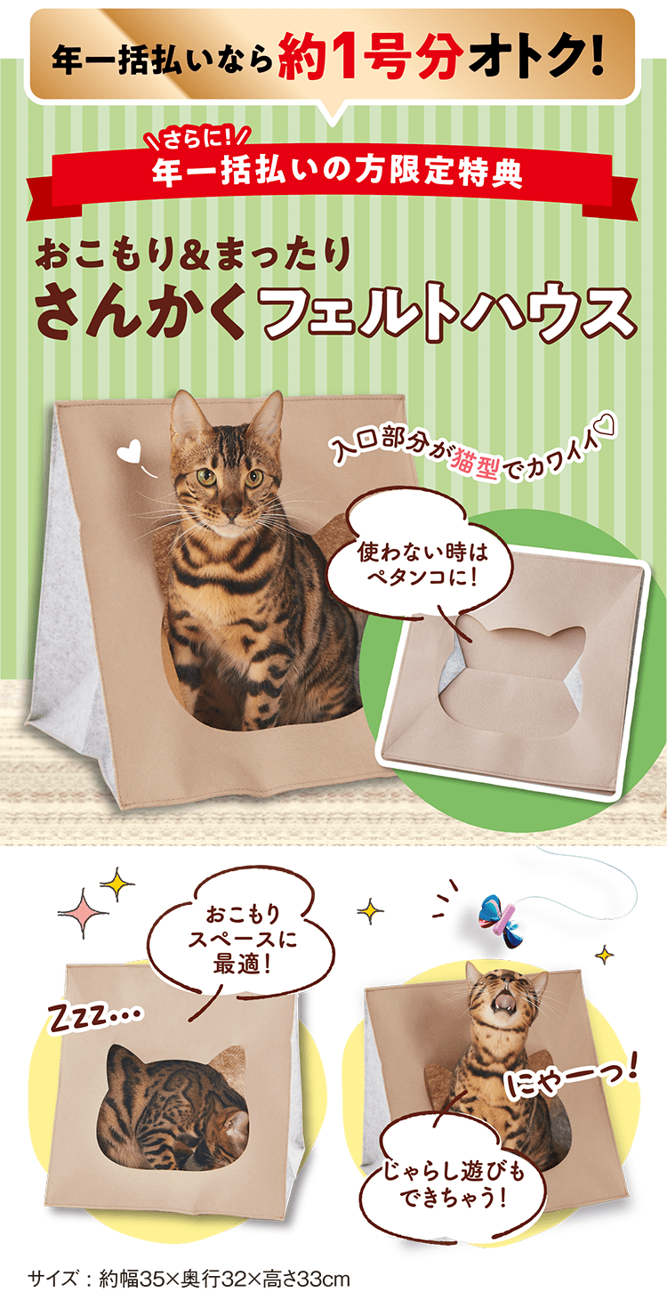 さんかくフェルトハウス