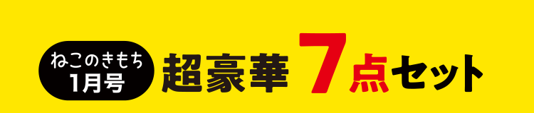 ねこのきもち1月号