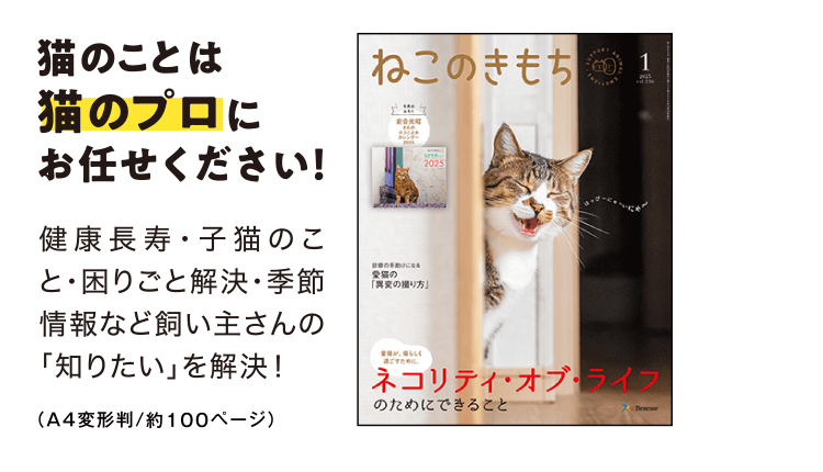 猫のことは猫のプロにお任せください！[A4判／約100ページ]