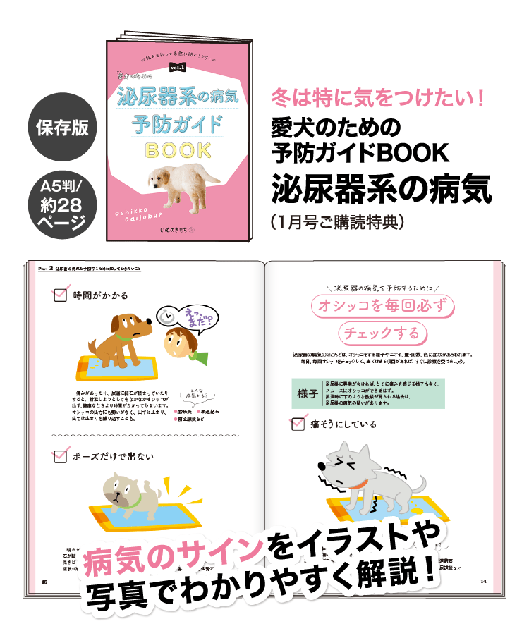 冬は特に気をつけたい！≪愛犬のための予防ガイドBOOK　泌尿器系の病気≫