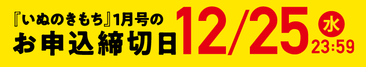 「いぬのきもち」1月号のお申込締切日12/25（水）23:59