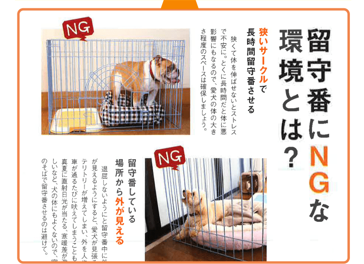 留守番にNGな環境とは？