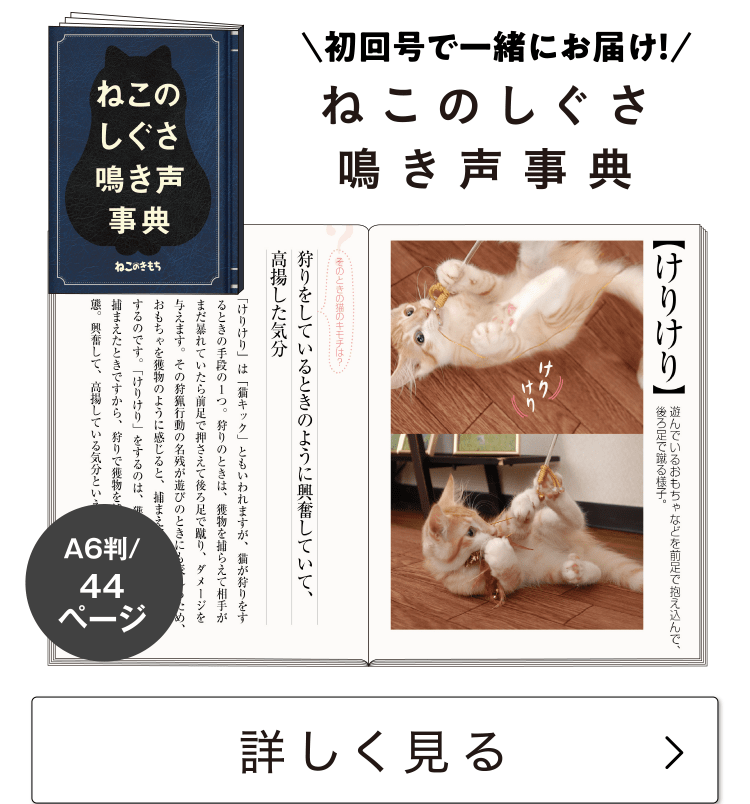 特典・ふろくのご紹介| 愛猫の健康・育て方がわかる雑誌「ねこのきもち」 | いぬのきもちweb・ねこのきもちweb