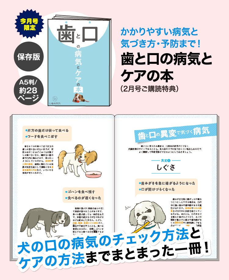 かかりやすい病気と気づき方・予防まで！≪歯と口の病気とケアの本≫