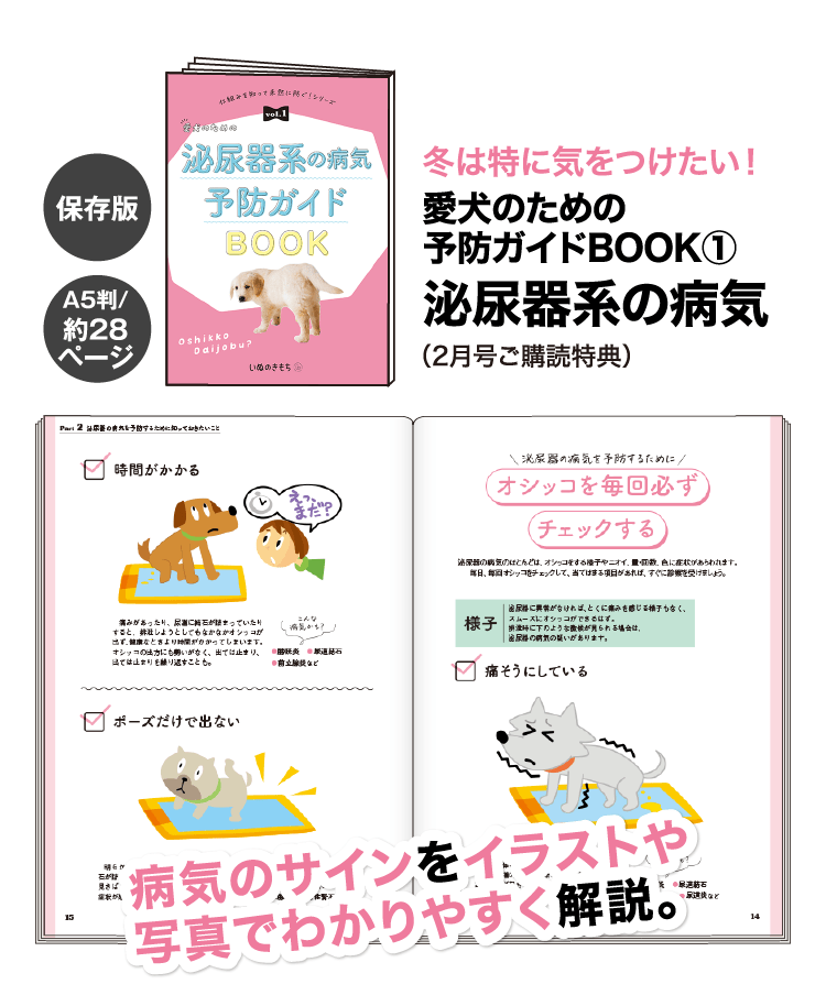 冬は特に気をつけたい！≪愛犬のための予防ガイドBOOK(1)　泌尿器系の病気≫