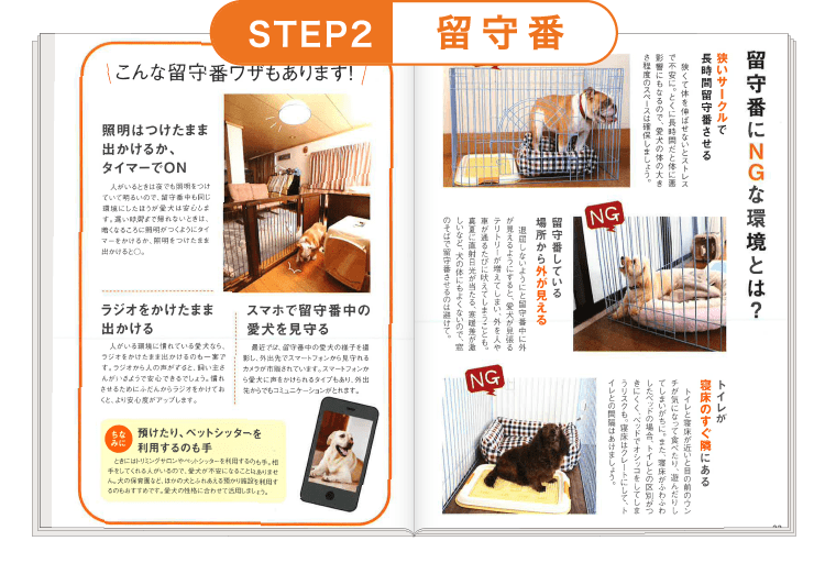 STEP2 ≪留守番≫