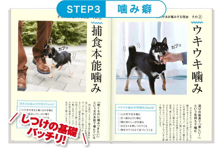 STEP3 ≪噛み癖≫