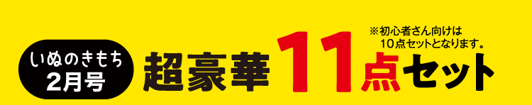 いぬのきもち2月号　超豪華11点セット　※初心者さん向けは10点セットとなります。