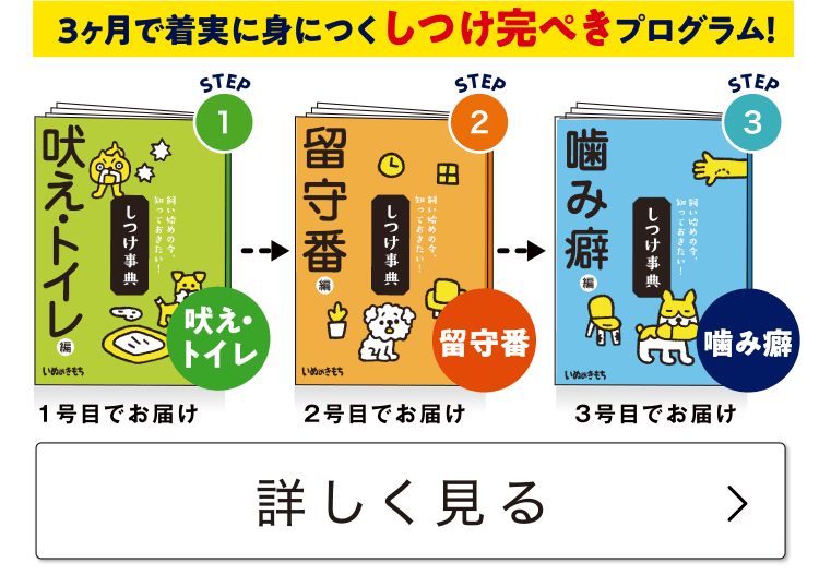 この3冊でしつけコンプリート！≪しつけ3大事典≫