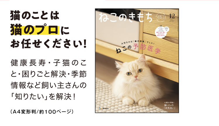 ねこさん︎プロフ必読︎様専用【サイズオーダー】 ねこさん@プロフ必読
