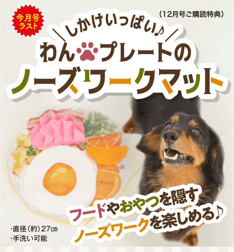 フードやおやつを隠す ノーズワークを楽しめる♪