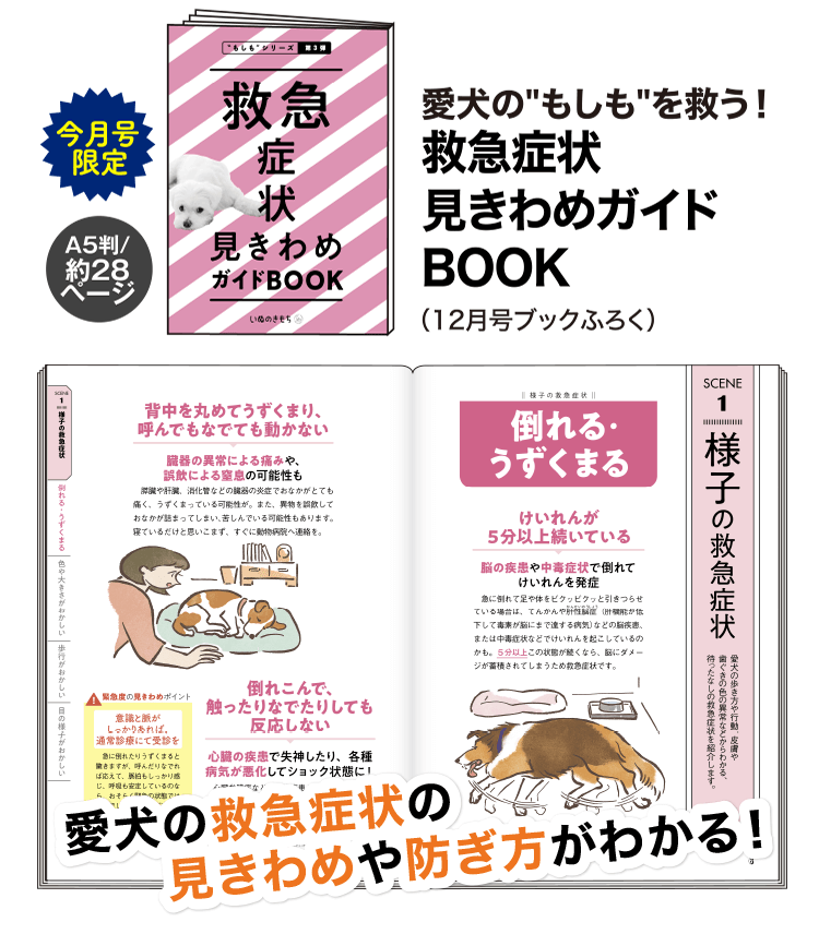 愛犬の"もしも"を救う!救急症状 見きわめガイドBOOK (12月号ブックふろく)