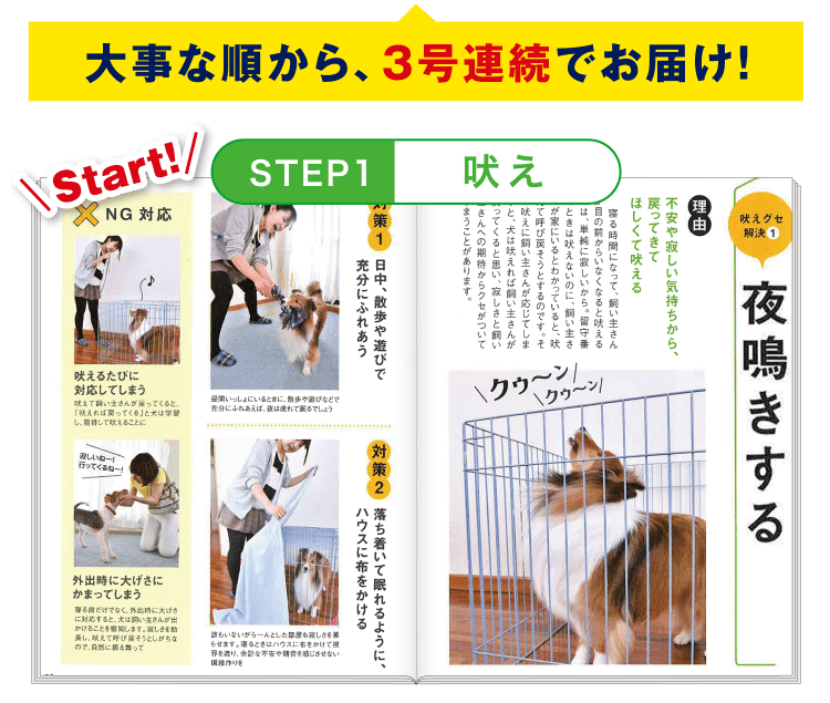 STEP1 ≪吠え≫