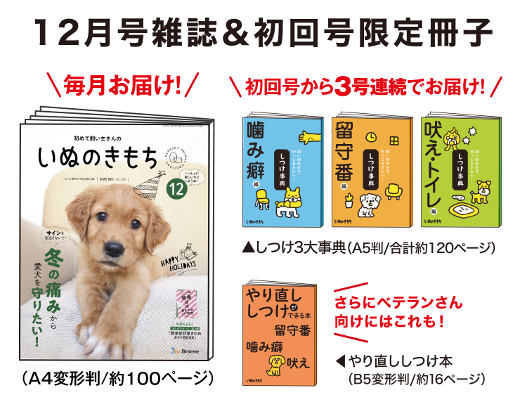 12月号雑誌&初回号限定冊子