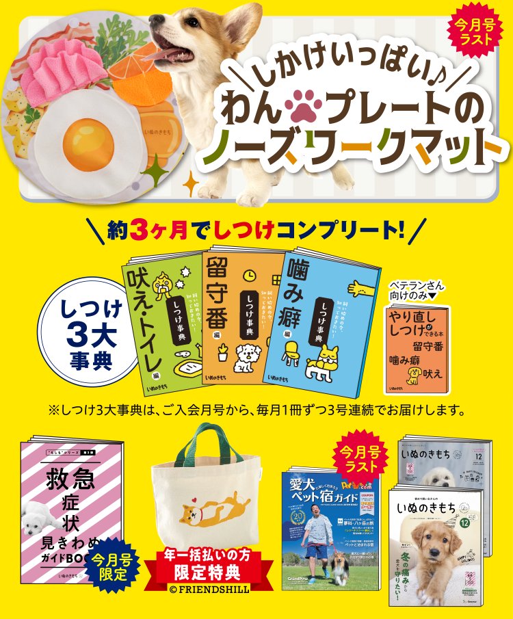 超豪華9点セット ※初心者さん向けは8点セットとなります。