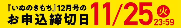 「いぬのきもち」12月号のお申込締切日 11/25(火)23:59