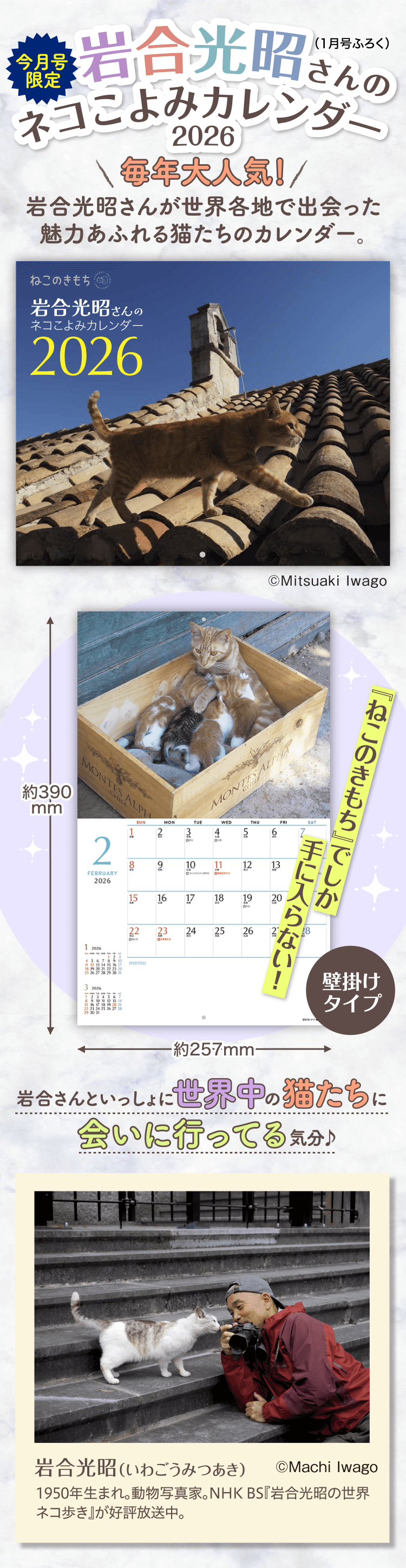 岩合光昭さんのネコこよみカレンダー2026