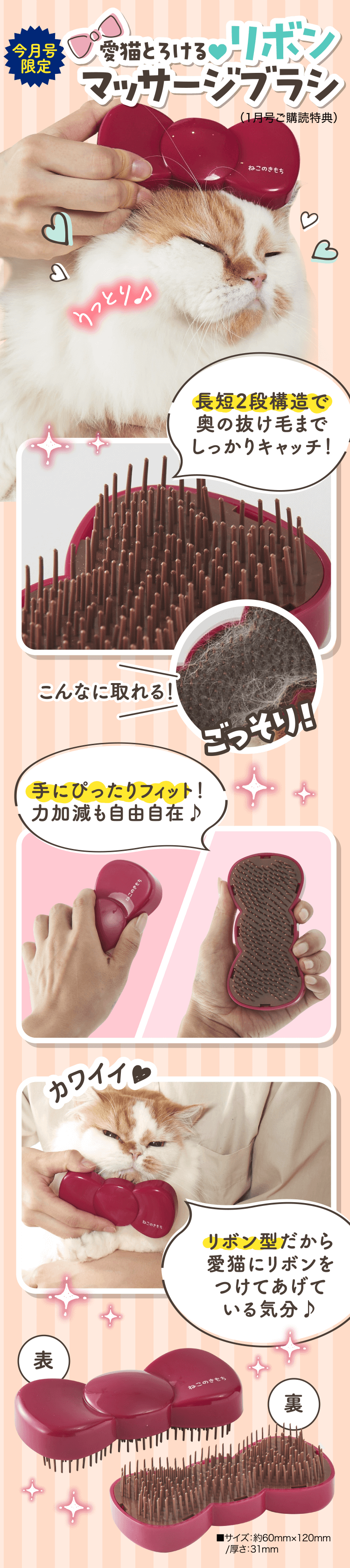 愛猫とろける♥リボンマッサージブラシ