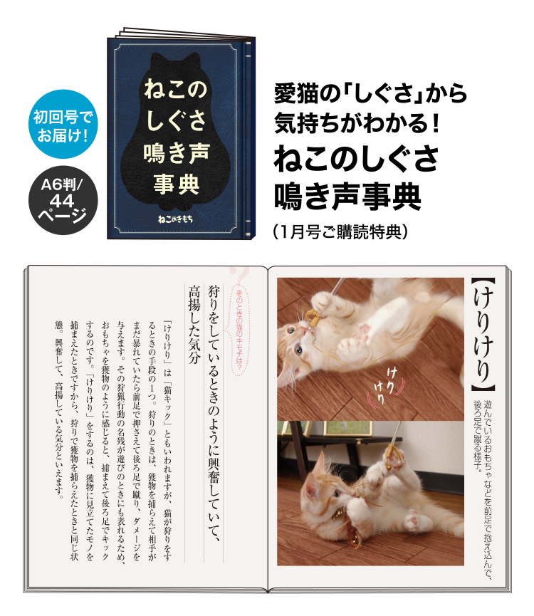 愛猫の「しぐさ」から 気持ちがわかる！ねこのしぐさ鳴き声事典（1月号ご購読特典）