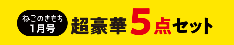 ねこのきもち1月号　超豪華5点セット