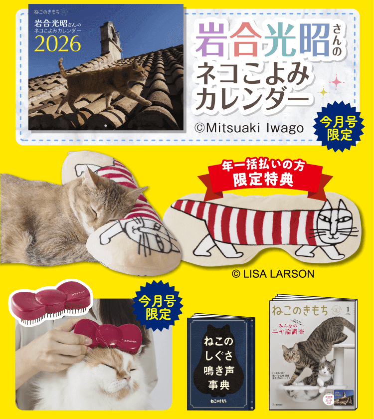 超豪華5点セット