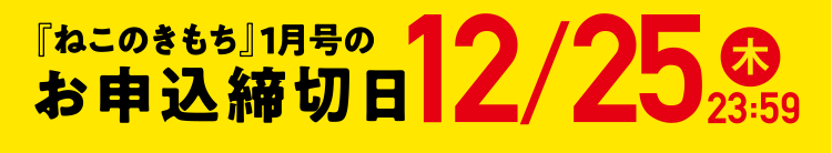 「ねこのきもち」1月号のお申込締切日 12/25（木）23:59