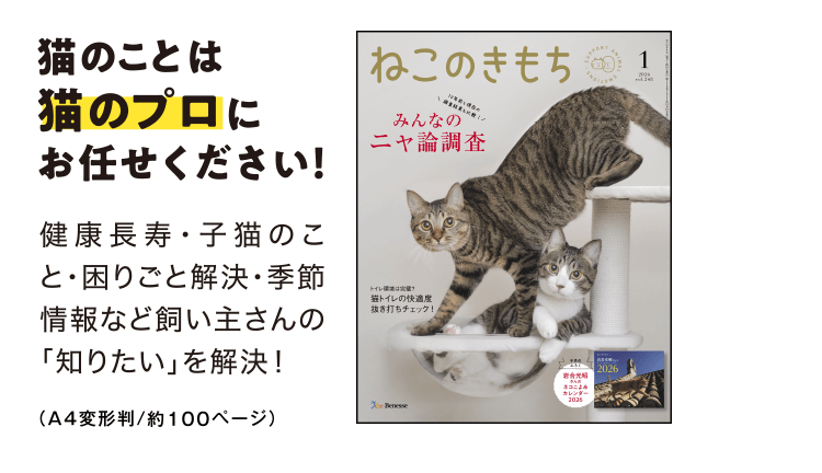 猫のことは猫のプロにお任せください！[A4判／約100ページ]