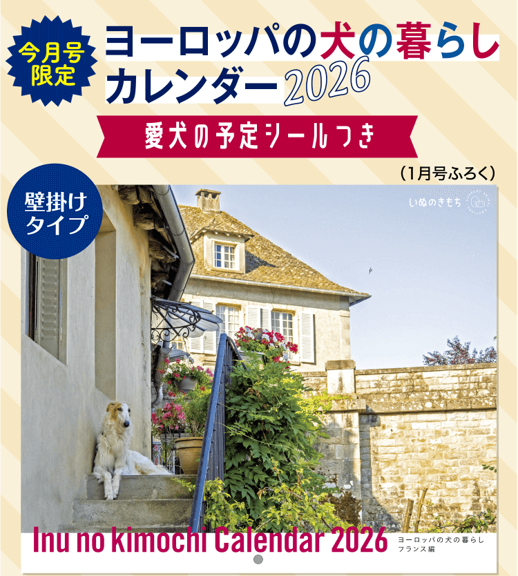 ヨーロッパの犬の暮らしカレンダー2026 愛犬の予定シールつき