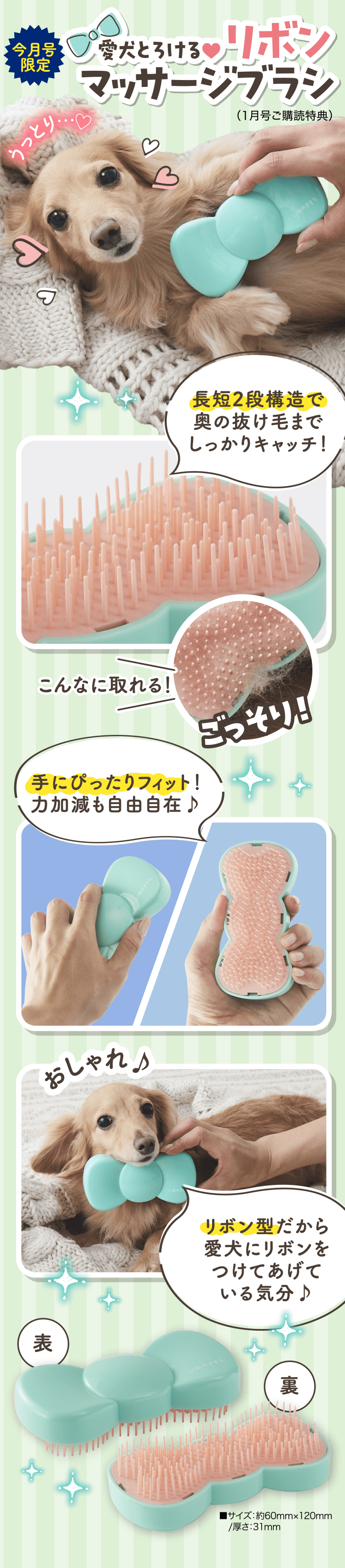 愛犬とろける♥リボンマッサージブラシ