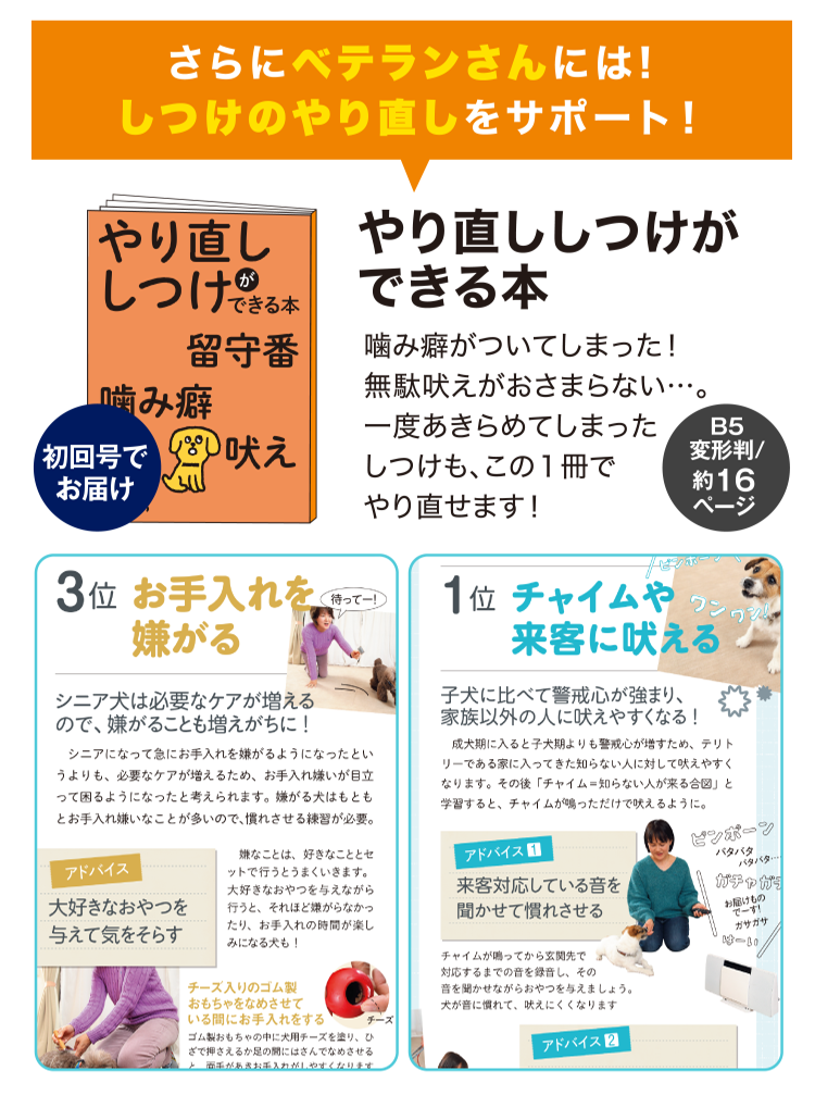 さらにベテランさんには！しつけのやり直しをサポート！≪やり直ししつけができる本≫