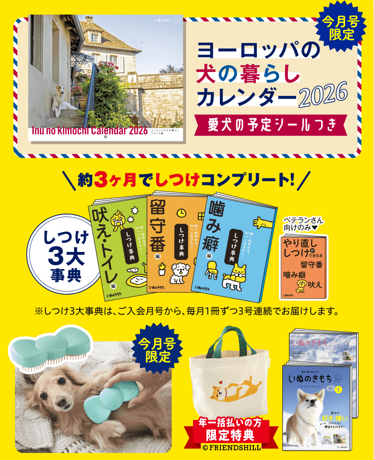 超豪華8点セット ※初心者さん向けは7点セットとなります。