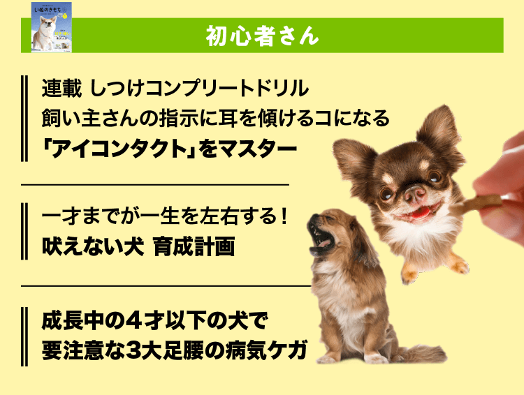 いぬのきもち　初心者さん