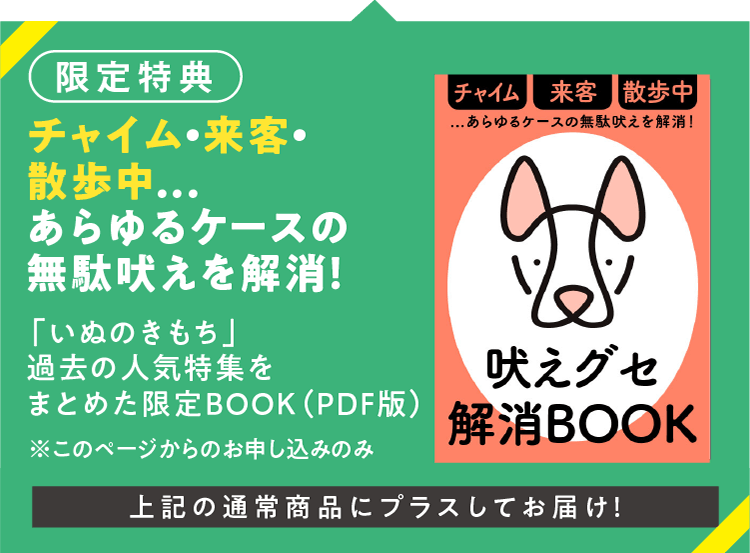 【限定特典】チャイム・来客・散歩中...あらゆるケースの無駄吠えを解消!「いぬのきもち」過去の人気特集をまとめた限定BOOK(PDF版)