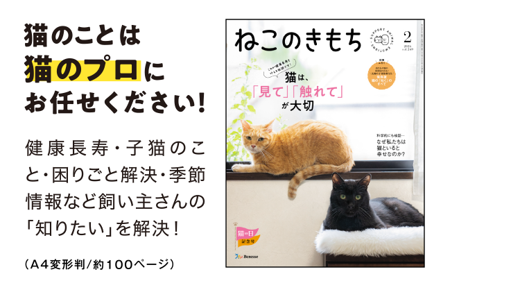 猫のことは猫のプロにお任せください！[A4判／約100ページ]