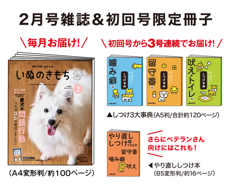 2月号雑誌&初回号限定冊子