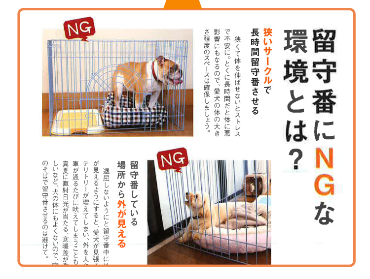 留守番にNGな環境とは？