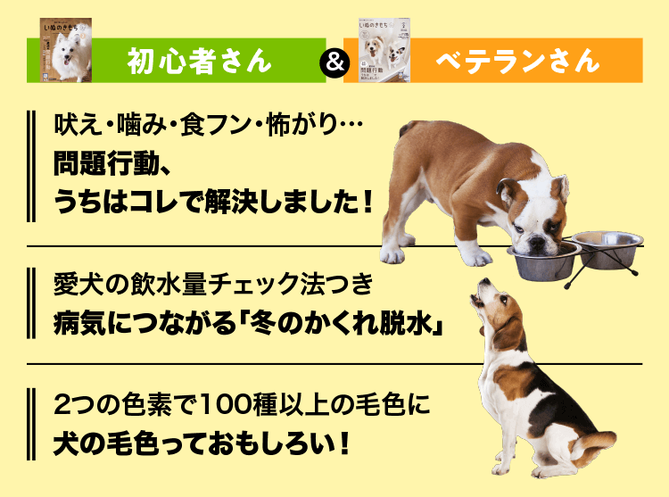 いぬのきもち　初心者さん＆ベテランさん