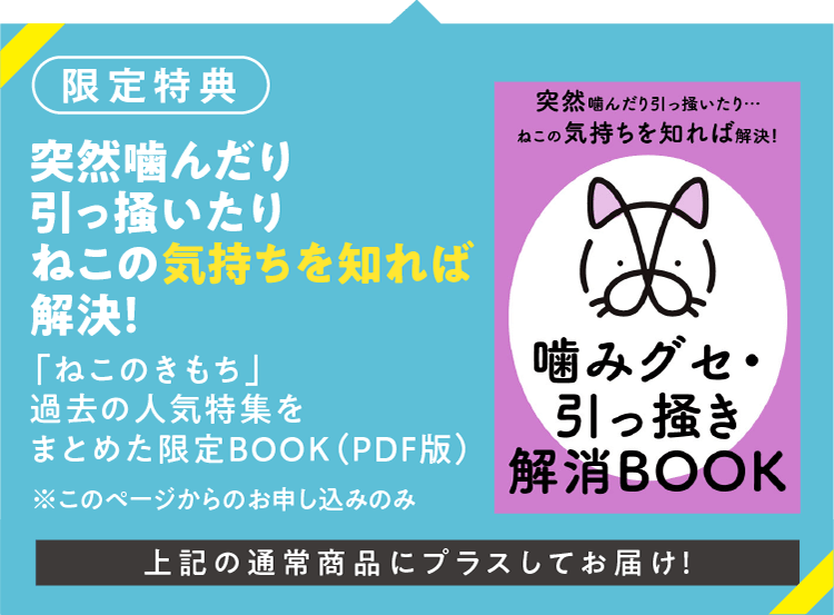 【限定特典】突然噛んだり引っ掻いたりねこの気持ちを知れば解決！「ねこのきもち」過去の人気特集をまとめた限定BOOK（PDF版）