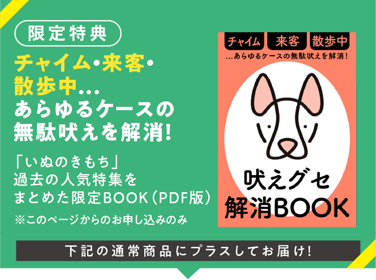 【限定特典】チャイム・来客・散歩中...あらゆるケースの無駄吠えを解消!「いぬのきもち」過去の人気特集をまとめた限定BOOK(PDF版)