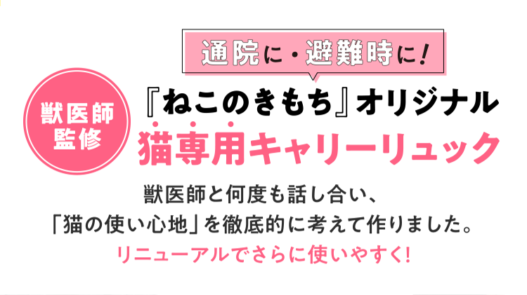 ≪獣医師監修 通院に・ 避難時に！『ねこのきもち』オリジナル 猫専用キャリーリュック