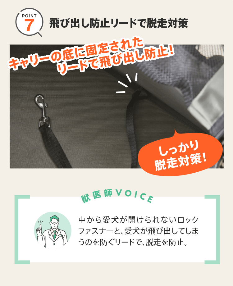 特典・ふろくのご紹介| 愛犬の健康・育て方がわかる雑誌「いぬのきもち