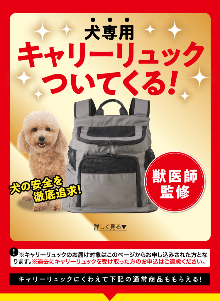 犬のしつけ・飼い方・育て方−犬のしつけなら『いぬのきもち』 | いぬ